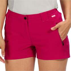 Vêtements Femme Pantalons de survêtement Regatta Wms Highton Short Multicolore