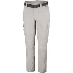 Vêtements Homme Pantalons de survêtement Columbia Silver Ridge II Cargo Pant Beige