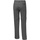 Vêtements Femme Pantalons de survêtement Columbia Silver Ridge 2.0 Convertible Pant Gris