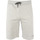 Vêtements Homme Shorts / Bermudas Fila LEX Gris