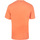 Vêtements Homme Polos manches courtes Champion fluo Crewneck T-Shirt Orange