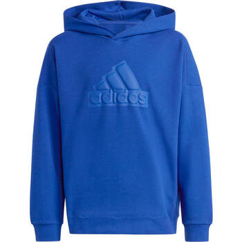 Vêtements Enfant Sweats b37572 adidas Originals U FI LOGO HD Bleu