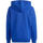 Vêtements Enfant Sweats adidas Originals U FI LOGO HD Bleu