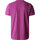 Vêtements Homme Polos manches courtes The North Face M S/S WOODCUT DOME TEE Violet