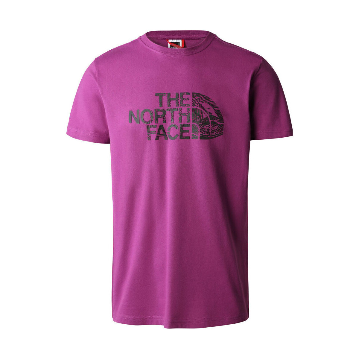 Vêtements Homme Polos manches courtes The North Face M S/S WOODCUT DOME TEE Violet