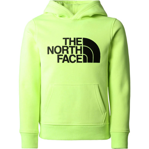 Vêtements Enfant Chemises manches courtes The North Face B DREW PEAK P/O HOODIE Vert