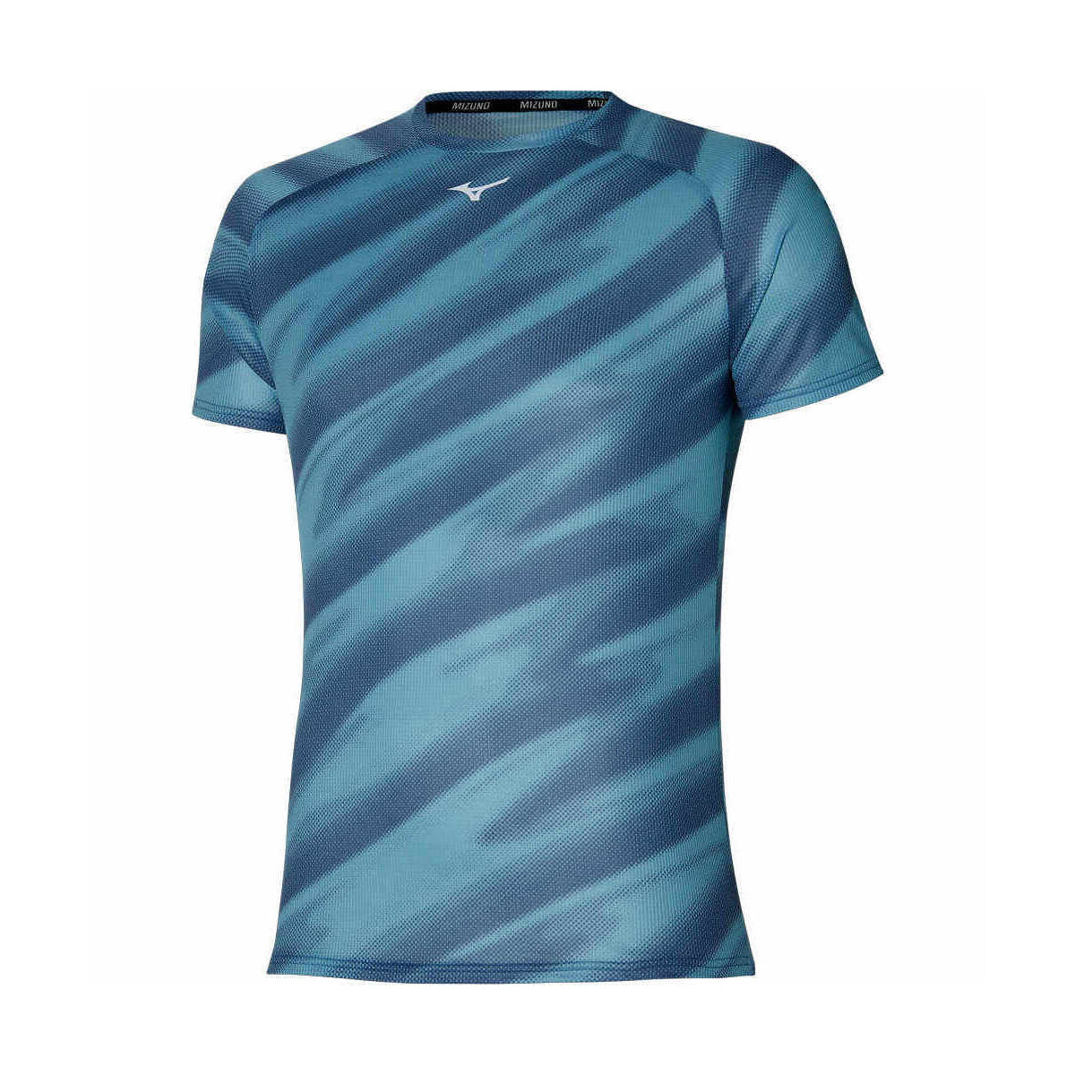 Vêtements Homme Chemises manches courtes Mizuno DAF Graphic Tee Bleu
