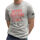 Vêtements Homme T-shirts manches courtes Ecoalf MINAALF T-SHIRT onlu MAN Gris