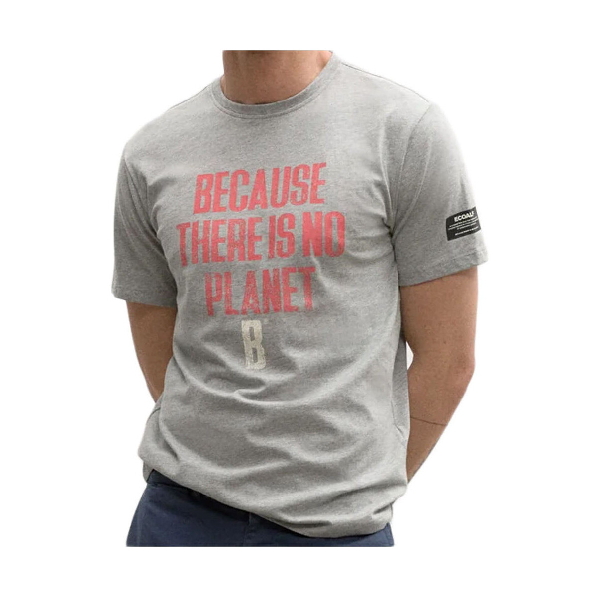 Vêtements Homme T-shirts manches courtes Ecoalf MINAALF T-SHIRT MAN Gris