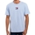 Vêtements Homme T-shirts manches courtes Tommy Jeans Original flag logo center Bleu