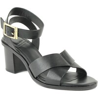 Chaussures Femme Bottines What For sandale à talon noire Noir 