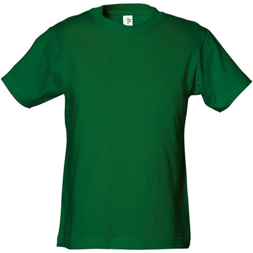 Vêtements Enfant T-shirts Raf manches longues Tee Jays Power Vert