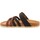 Chaussures Femme Sandales et Nu-pieds Cucaracha Glenda Marron