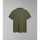 Vêtements Homme T-shirts & Polos Napapijri ELBAS JERSEY - NP0A4GB4-GAE GREEN LICHEN Vert