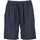 Vêtements Shorts / Bermudas V2brand Pantalone Sartoriale Corto Lino Bleu