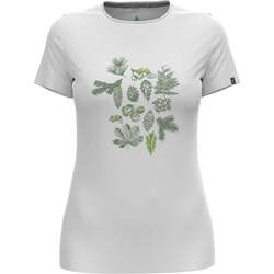 Vêtements Femme Chemises / Chemisiers Odlo T-shirt crew neck s/s KUMANO FOREST Blanc