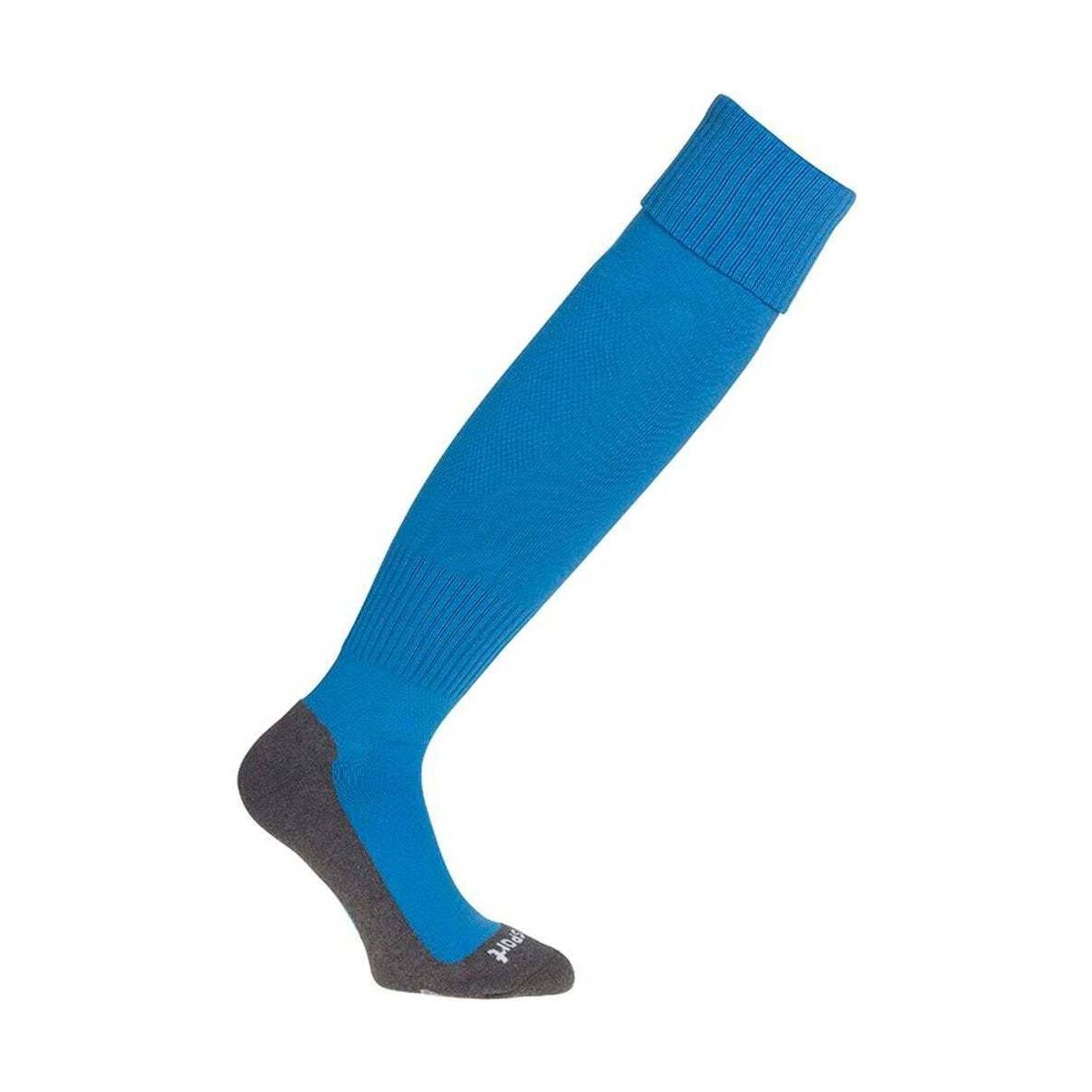 Accessoires Accessoires sport Uhlsport TEAM PRO ESSENTIAL Socks Bleu