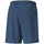 Vêtements Homme Shorts / Bermudas Puma 520216-65 Bleu