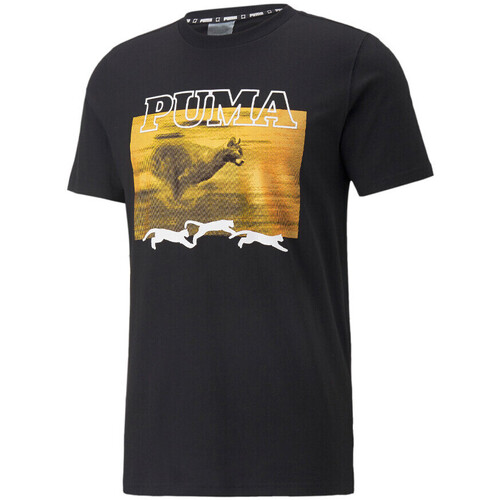 Vêtements Homme T-shirts & Polos Puma 536486-01 Noir