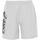 Vêtements Homme Shorts / Bermudas Asics Omega 7in short Gris