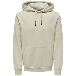 Vêtements Homme Sweats Only & Sons  SWEATSHIRT ONSCERES - SILVER LINING - S Multicolore
