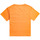 Vêtements Fille Débardeurs / T-shirts sans manche Roxy Back On My Feet B Orange