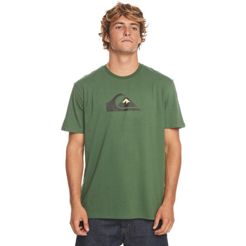 Vêjunior Homme Débardeurs / T-shirts sans manche Quiksilver Comp Logo Vert