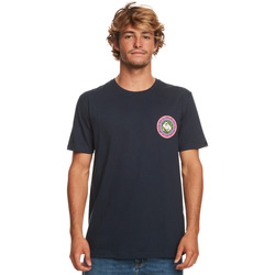Tommy Jeans Entry Print Mens T-shirt