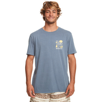 Vêtements Homme Débardeurs / T-shirts sans manche Quiksilver Summer Hope Bleu