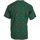 Vêtements Homme T-shirts manches courtes Ellesse Sanya Tee Vert