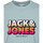 Vêtements Homme T-shirts manches courtes Jack & Jones 146833VTPE23 Bleu