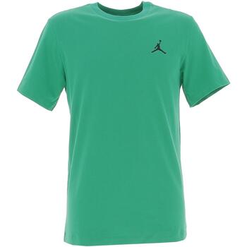 Vêtements Homme T-shirts manches courtes Nike M j brand gfx ss crew 3 Vert