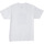 Vêtements Homme T-shirts manches courtes DC Shoes Notice Blanc