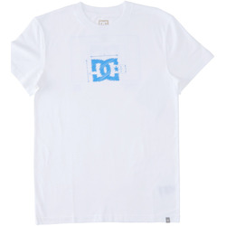 Vêtements Homme T-shirts manches courtes DC SHOES Running Blueprint Blanc