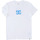 Vêtements Homme T-shirts manches courtes DC Shoes Blueprint Blanc