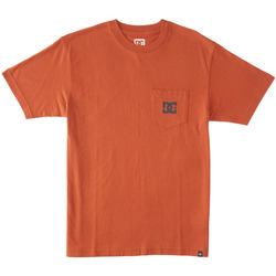 Vêtements Homme T-shirts manches courtes DC Shoes React DC Star Orange