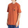 Vêtements Homme T-shirts manches courtes DC Shoes DC Star Orange
