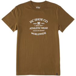 Vêtements Homme T-shirts manches courtes DC Shoes React World Renowed Noir