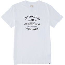Vêtements Homme T-shirts manches courtes DC Shoes React World Renowed Blanc