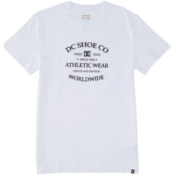 Vêtements Homme T-shirts manches courtes DC turchese SHOES World Renowed Blanc
