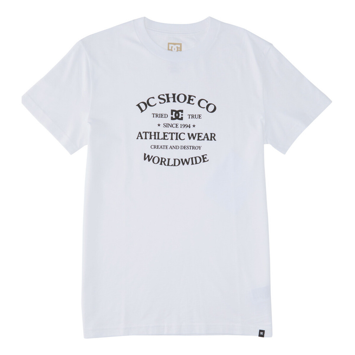 Vêtements Homme T-shirts manches courtes DC Shoes World Renowed Blanc