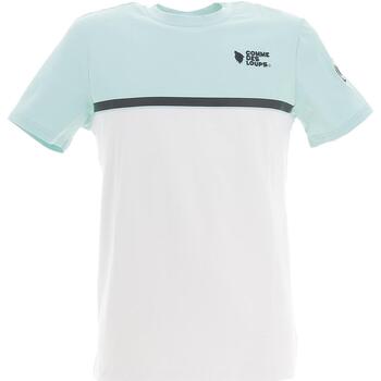 Vêtements Homme T-shirts manches courtes Men in Black and White Everest vert dxeau mc tee Vert