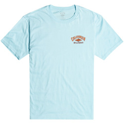 Vêtements Homme T-shirts manches courtes Billabong Arch Dreamy Place Bleu
