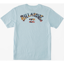 Vêtements Garçon T-shirts manches courtes Billabong Arch Fill Bleu