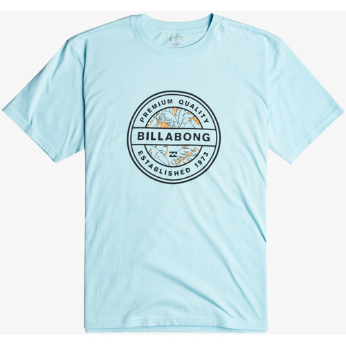 Vêtements Homme T-shirts manches courtes Billabong Rotor Fill Bleu