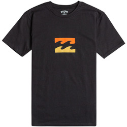 Vêtements Garçon T-shirts manches courtes Billabong Team Wave Noir