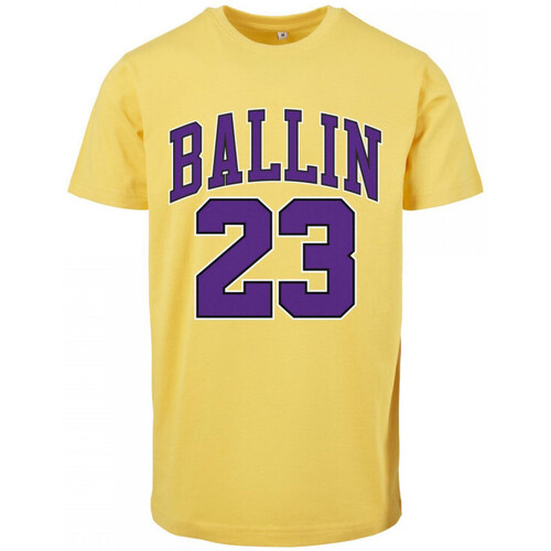 Vêtements T-shirts manches courtes Mister Tee T-Shirt  Ballin 23 J Multicolore