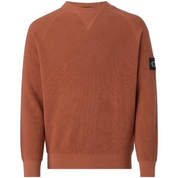 Vêtements Homme Sweats Calvin Klein Jeans Pull  ref 60413 GAN Brique Orange