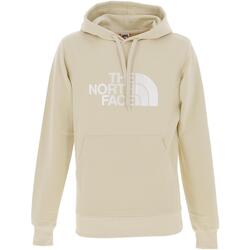 Vêtements Homme Sweats The North Face M light drew peak pullover hoodie-eu Beige