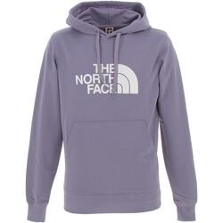 Vêtements Homme Sweats The North Face M light drew peak pullover hoodie-eu Violet